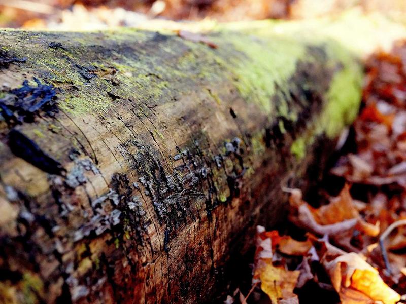 sudoku swordfish screenshot 2